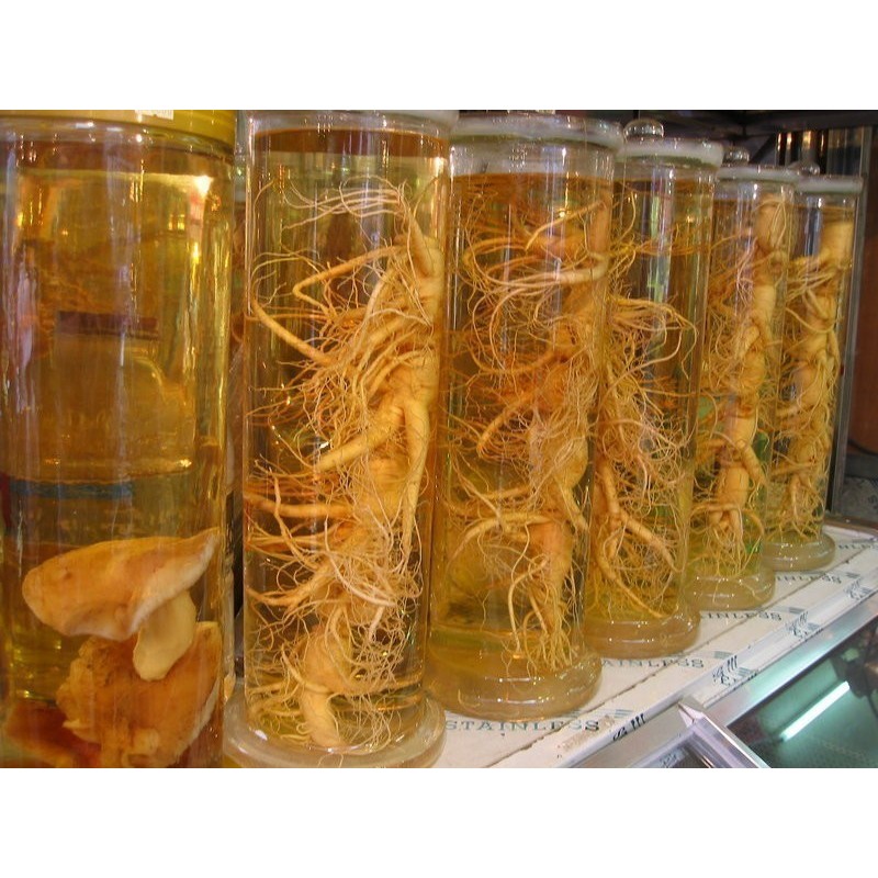 Price: €2.5 - Ginsengsläktet frön medicinalväxt (Panax Ginseng)l plant - 