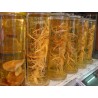Price: €2.5 - Ginsengsläktet frön medicinalväxt (Panax Ginseng)l plant - 