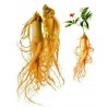Price: €2.5 - Σπόροι Panax Ginseng (τζίνσενγκ) Ένα θαυματουργό βότανο - 