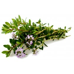Price: €2.15 - Semillas de Ajedrea de jardín (Satureja hortensis) - 