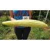 Semillas Pepino Armenio - Alficoz - Extra Largo