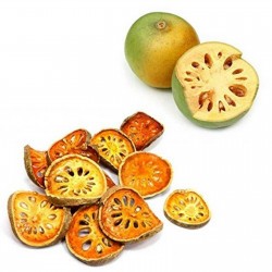 Semi Di Cotogno Del Bengala - Bael Fruit - Wood Apple