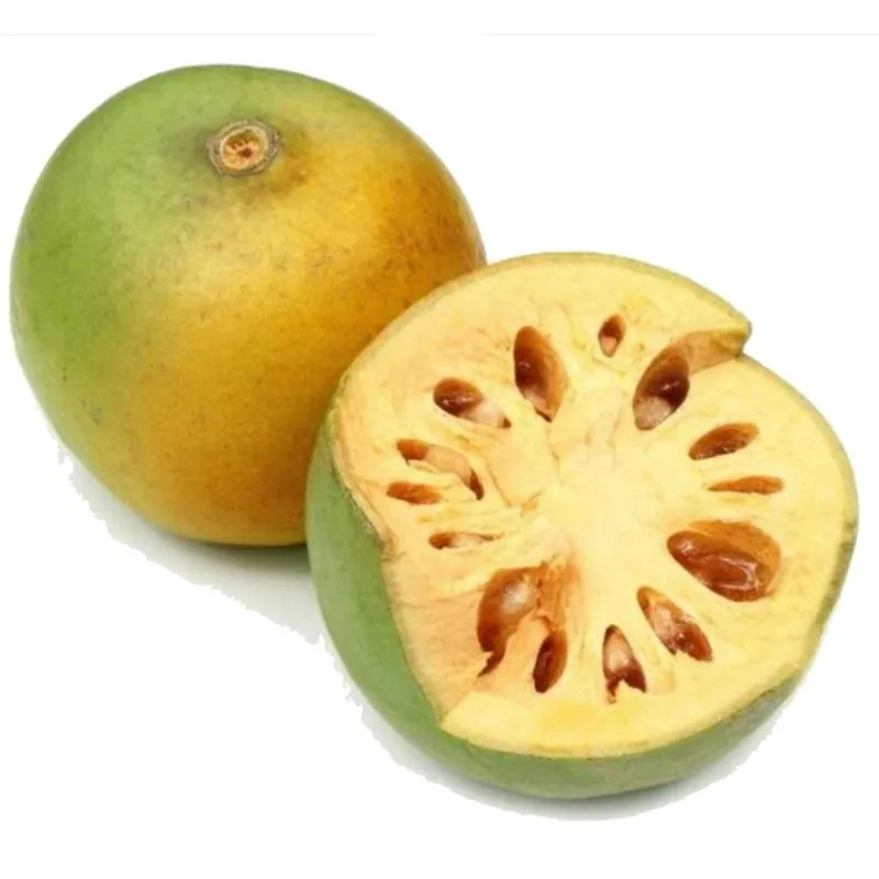 Bengalische Quitte - Beli Samen (Aegle marmelos)