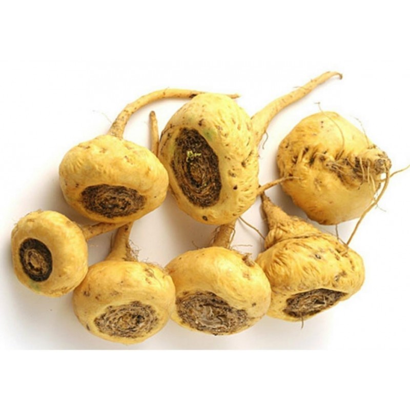 Price: €2.2 - Maca Seeds (Lepidium meyenii) - 