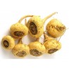 Price: €2.2 - Maca Seeds (Lepidium meyenii) - 