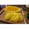 Semi di zucca Spaghetti