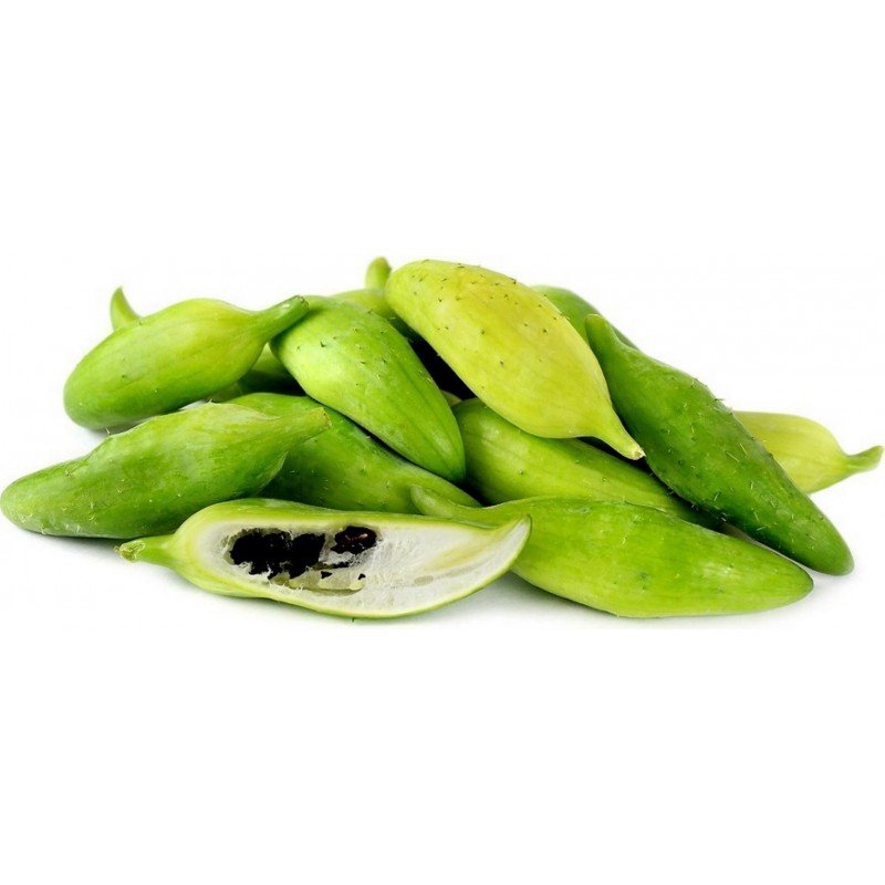 Inka Gurke Samen (Cyclanthera pedata) | 3,50 €