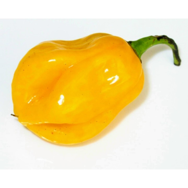 Burkina Yellow Chili Seeds - 234.57915
