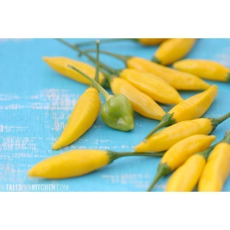 Price: €2 - Σπόροι τσίλι Tabasco κίτρινος - 