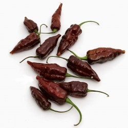 Price: €2.5 - Semillas De Pimientos "Fatalii Chocolate" - Seeds Gallery