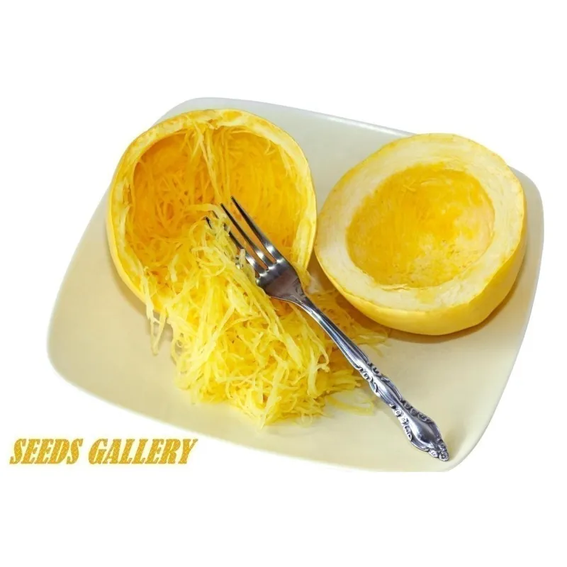Spaghetti Winter Squash Seeds