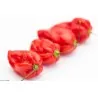 Habanero Devil's Tongue Red Seeds