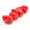 Price: €2.15 - Σπόροι Τσίλι Πιπέρι Devil's Tongue Red - 