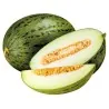 Graines De Melon Pinonet (Cucumis melo)