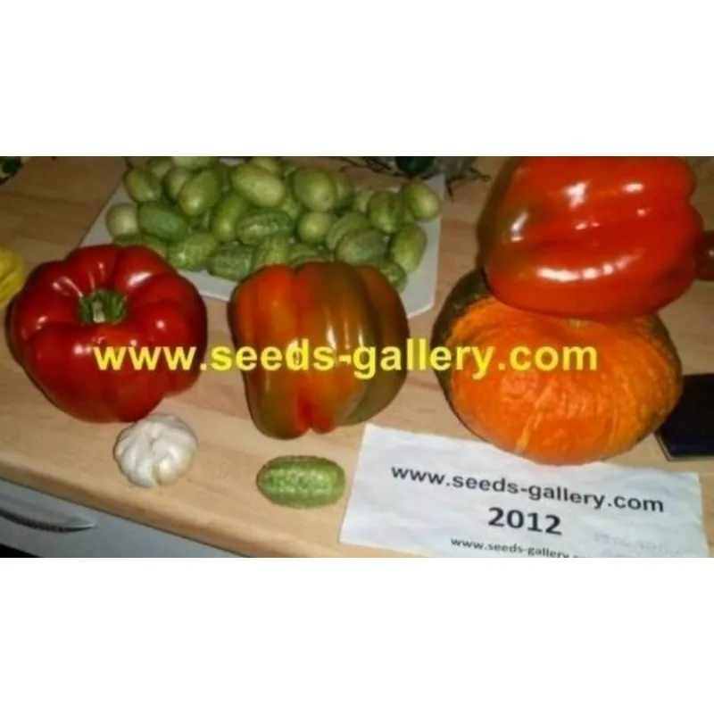 Red Giant Monster Sweet Pepper Seeds