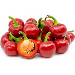 Graines de Piments Large Red Cherry