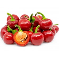 Sementes de Pimenta Cherry Red