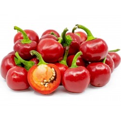 Price: €1.65 - Semillas de chile rojo cereza grandes - Seeds Gallery