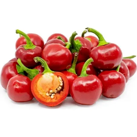Große Rote Kirsche - Chilisamen