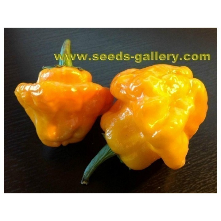 MUSHROOM YELLOW Chilli seeds - 234.57915