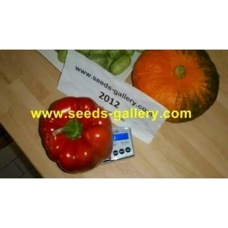 Red Giant Monster Sweet Pepper Seeds