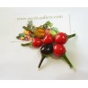 Price: €2.35 - Semillas de Chile Royal Black - Seeds Gallery
