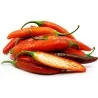 Serrano Chilli Seeds (Capsicum annuum)