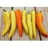 Semillas De Pimiento SWEET BANANA