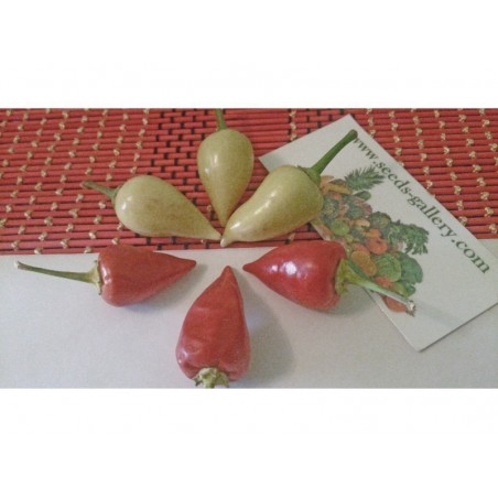 Price: €1.75 - Chilifrön Vitt SPJUT - Seeds Gallery