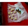 Price: €2.25 - Seme dzinovskog kukuruza Cuzco - Cusco - 