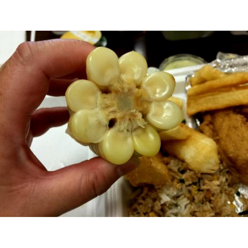 Världens största jättemajsfrön Cuzco - Cusco