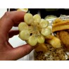 Price: €2.25 - Sementes de milho Gigante de Cuzco - Cusco - 