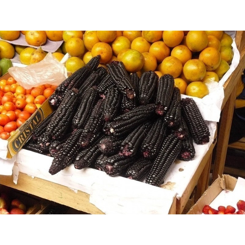 Price: €2.45 - Graines de maïs noir Black Aztek - 
