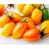 Price: €1.95 - ARTISAN BLUSH TIGER Tomatensamen - 