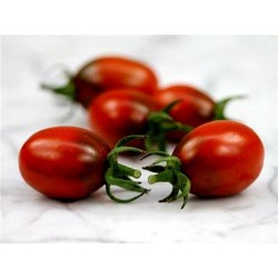 Graines de tomate PRUNE NOIRE - BLACK PLUM
