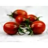 Graines de tomate Prune Noire - Black Plum