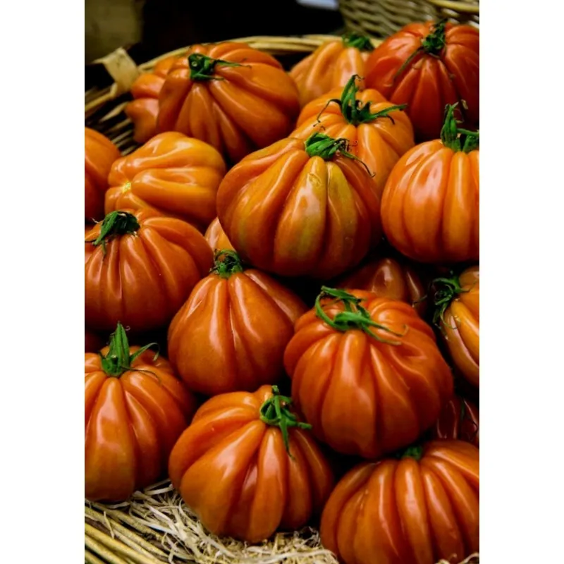 Charlie Chaplin tomato seeds