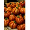 Price: €1.95 - Carli Caplin Paradajz Seme - 