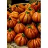 Charlie Chaplin tomato seeds