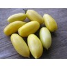 Price: €1.65 - Krämkorv (Cream Sausage) Tomatfrön - Seeds Gallery