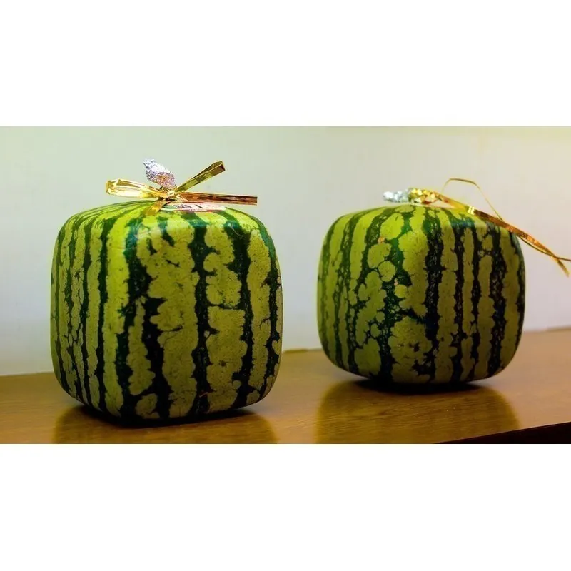 Square Watermelon Seeds