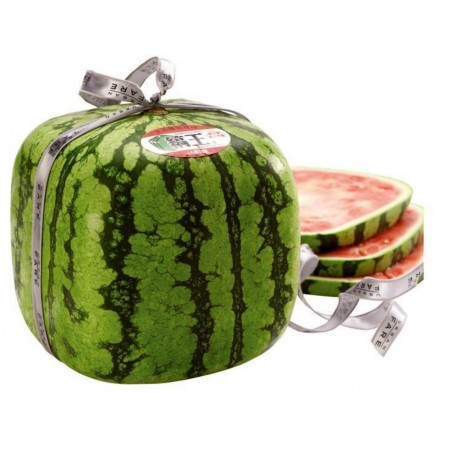 Price: €1.85 - Seme Kockaste Lubenice - Seeds Gallery