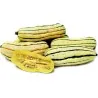 Delicata squashfrön