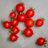 Price: €1.85 - Ντομάτα σπόρος GERANIUM KISS - Seeds Gallery