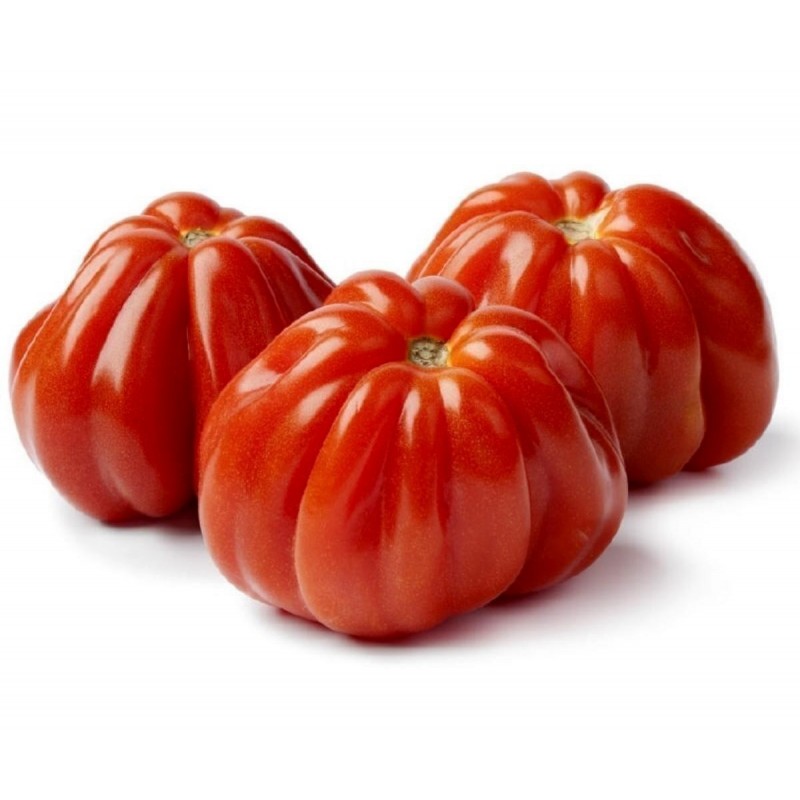 Italienische CUORE DI BUE Tomaten Samen