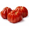 Price: €1.85 - Tomat frön italiensk CUOR DI BUE - Seeds Gallery