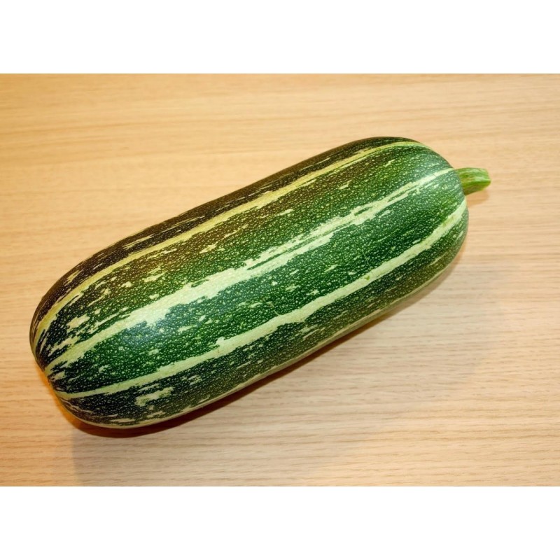 Price: €2.1 - Semillas de Calabacín MARROW LONG GREEN BUSH - Seeds Gallery