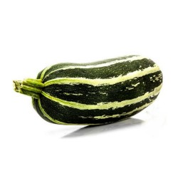 Price: €2.1 - Semillas de Calabacín MARROW LONG GREEN BUSH - Seeds Gallery