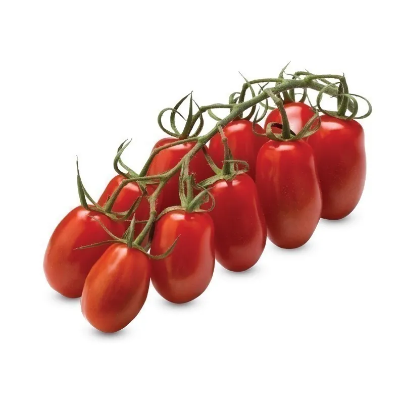 Mini San Marzano Yellow and Red Tomato Seeds
