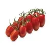 Mini San Marzano Yellow and Red Tomato Seeds